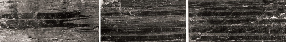 Humic Coals banner